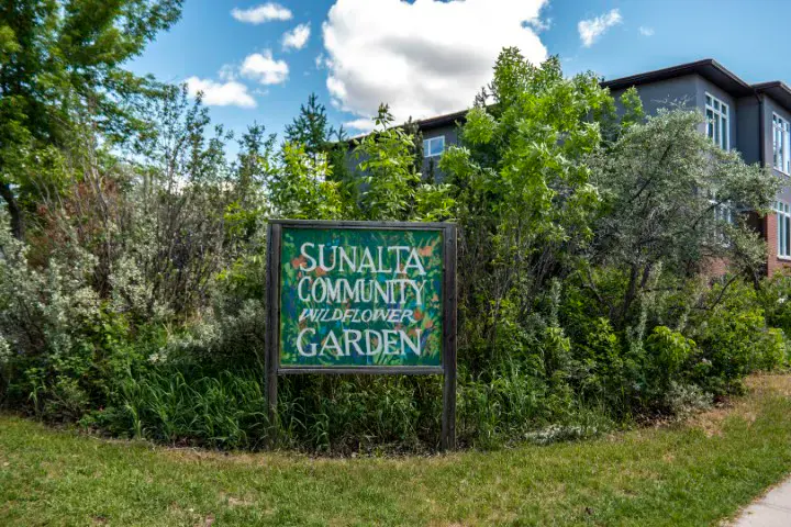 Sunalta community in Calgary